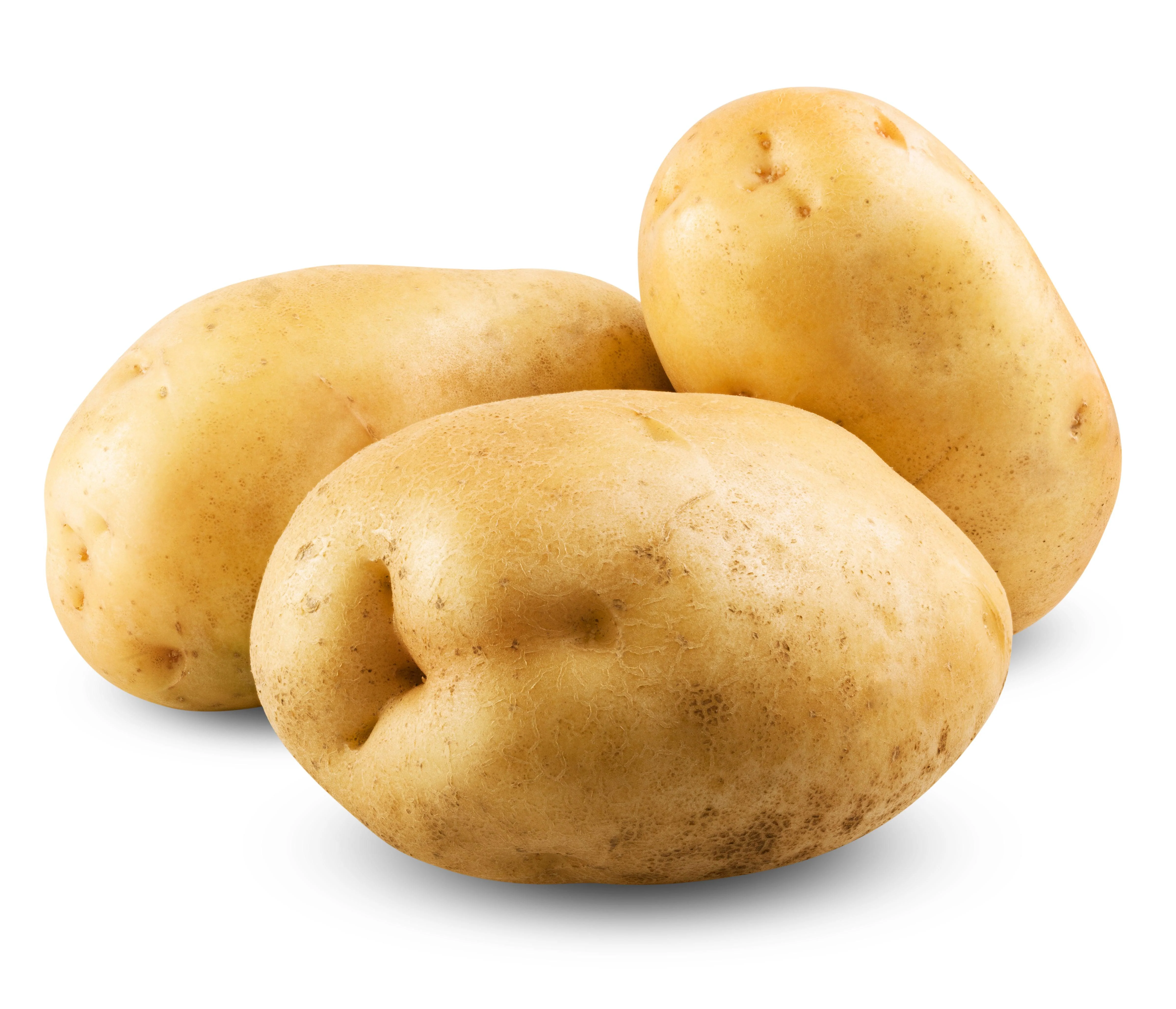 Wholesale Fresh Produce Supply